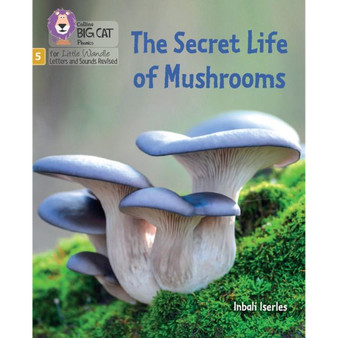 Big Cat Phonics for Little Wandle Letters and Sounds Revised - The Secret Life of Mushrooms: Phase 5 Set 4 Stretch and challenge - ISBN 9780008539344