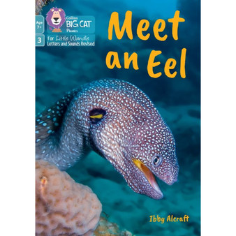 Big Cat Phonics for Little Wandle Letters and Sounds Revised – Age 7+ - Meet an Eel: Phase 3 Set 1 Blending practice - ISBN 9780008758127
