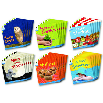 Oxford Floppy's Phonics Non-Fiction Level 3 Class Pack of 36 - ISBN 9780198484493