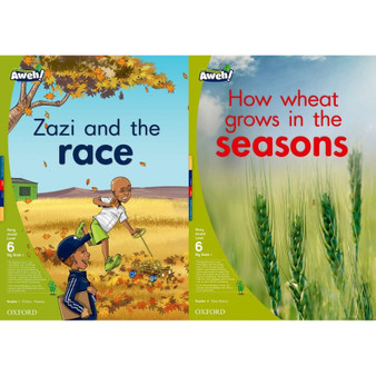 Aweh! Grade 2 Level 6 Big Book 1 - ISBN 9780190435707