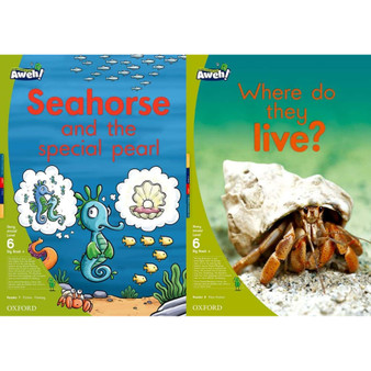 Aweh! Grade 2 Level 6 Big Book 4 - ISBN 9780190423971