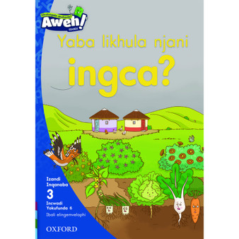 Aweh! Yaba likhula njani ingca? - ISBN 9780190434298