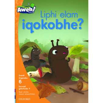Aweh! Liphi elam iqokobhe? - ISBN 9780190440510