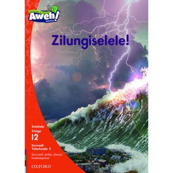 Aweh! Zilungiselele! - ISBN 9780190423407