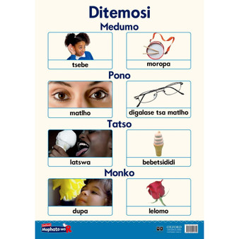 Oxford Kereiti ya R Phousetara 9 - ISBN 9780190410759