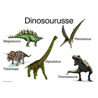 Dinosourusse - ISBN 9781431040520