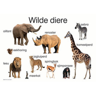 Wilde Diere - ISBN 9781431040537