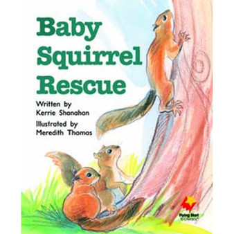 Flying Start Baby Squirrel Rescue L13 - ISBN 9781743208311