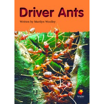 Flying Start Driver Ants L20 - ISBN 9781742341262