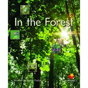 Flying Start in the Forest L3 - ISBN 9781742340265