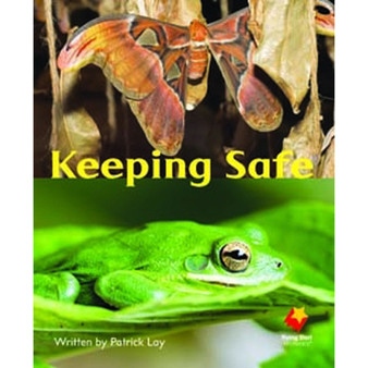 Flying Start Keeping Safe L10 - ISBN 9781742340685