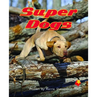 Flying Start Super Dogs L7 - ISBN 9781743208069