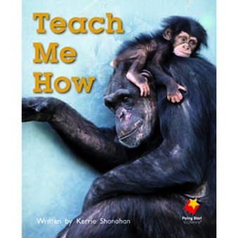 Flying Start Teach Me How L9 - ISBN 9781742340623