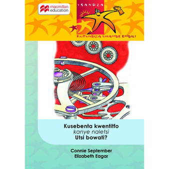 Kusebenta Kwetintfo Kanye Naletsi Utsi Bowati - ISBN 9781431016396