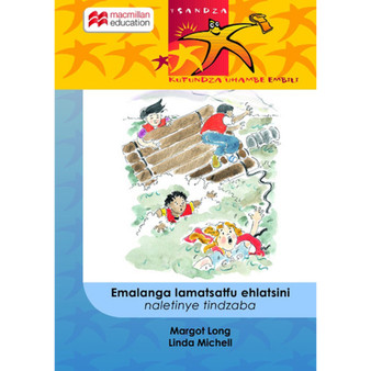 Emalanga Lamatsatfu Ehlatsini Naletinye Tindzaba - ISBN 9781431016563