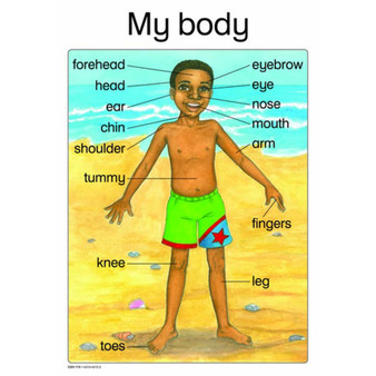 My Body - ISBN 9781431040155