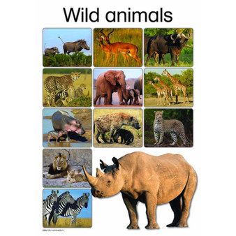 Wild Animals - ISBN 9781431040339