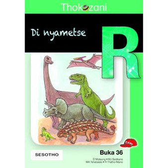 Tkz Di Nyametse Sotho Gr R Rd36 - ISBN 9781431030200