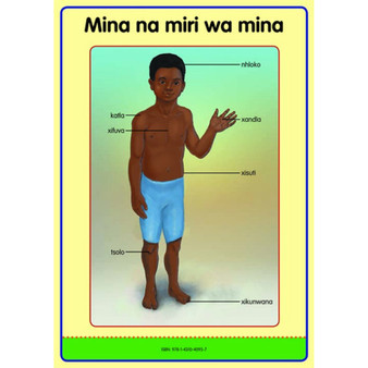 Tinhlamula Ta Hinkwaswo Xitsonga Giredi R Poster: Miri Wa Mina - ISBN 9781431040957