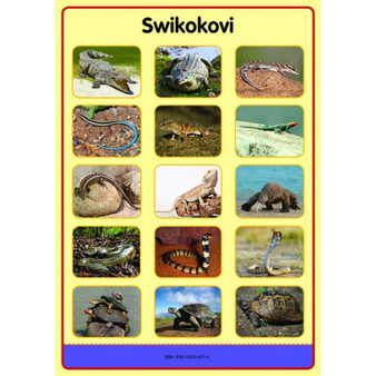 Tinhlamula Ta Hinkwaswo Xitsonga Giredi R Poster: Swinyanyana - ISBN 9781431041107