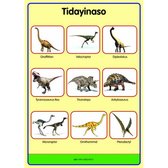 Tinhlamula Ta Hinkwaswo Xitsonga Giredi R Poster: Tidayinaso - ISBN 9781431041121