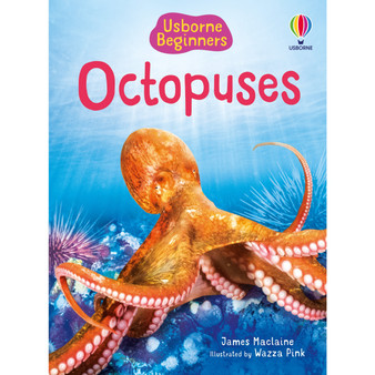 Beginners Octopuses - ISBN 9781805079675