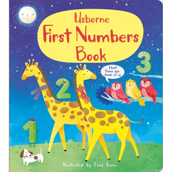First Numbers Book - ISBN 9781474986755
