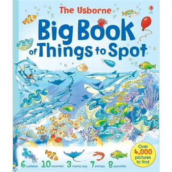 Big Book of Things to Spot - ISBN 9780746053010