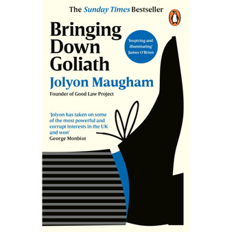 Bringing Down Goliath - ISBN 9780753559802