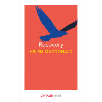 Recovery - ISBN 9781784875473