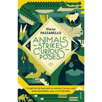 Animals Strike Curious Poses - ISBN 9781784707354