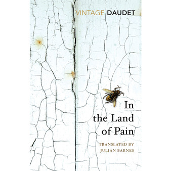 In the Land of Pain - ISBN 9781784873455