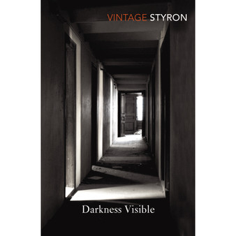 Darkness Visible - ISBN 9780099285571