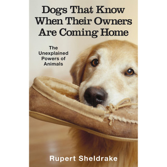 Dogs That Know When Their Owners Are Coming Home - ISBN 9780099255871