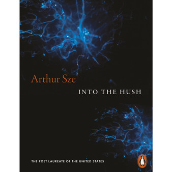 Into the Hush - ISBN 9781837312252