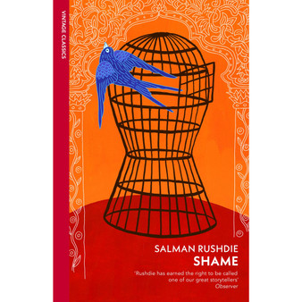 Shame - ISBN 9781784878931