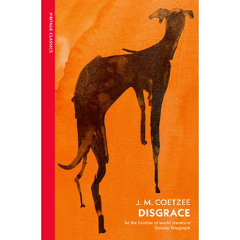 Disgrace - ISBN 9781784879051