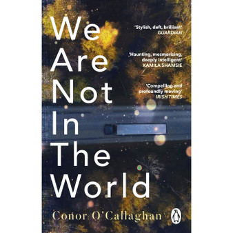 We Are Not in the World - ISBN 9781529176360
