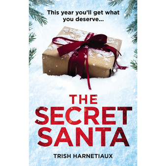 The Secret Santa - ISBN 9781787465046
