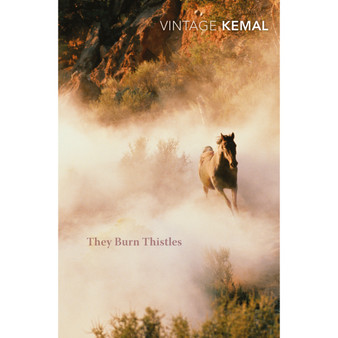 They Burn Thistles - ISBN 9781784870478