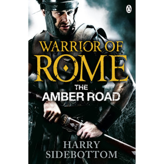 Warrior of Rome VI: The Amber Road - ISBN 9780141046181