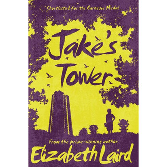 Jake's Tower - ISBN 9781509826711