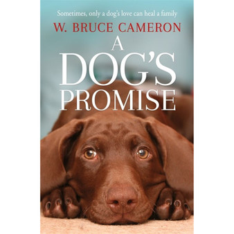 A Dog's Promise - ISBN 9781529010084