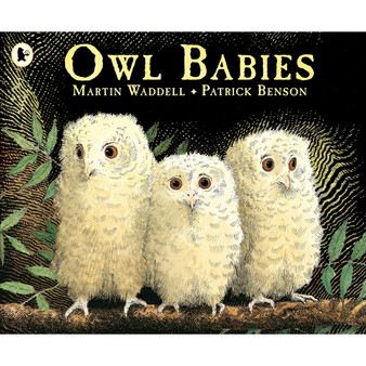 Owl babies - ISBN 9780744531671