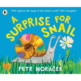 A Surprise for Snail - ISBN 9781529525502