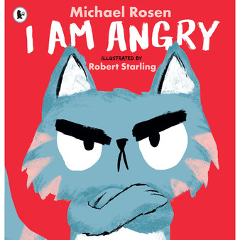 I am angry - ISBN 9781529504149