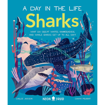 Sharks (A Day in the Life) - ISBN 9781838992064