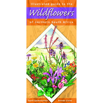 Illustrated Guide to the Wildflowers of Northern South Africa - ISBN 9781875093397