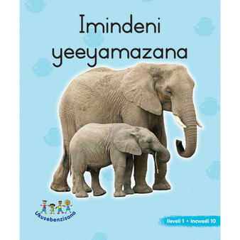 Hand in Hand Grade R (Ndebele) Picture Book Level 1 Book 10 - ISBN 9780796078513