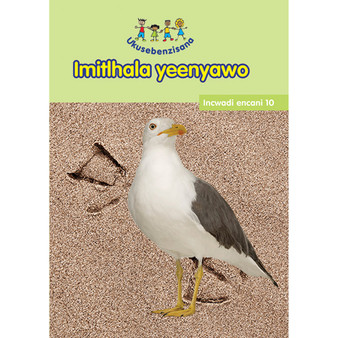 Hand in Hand Grade R (Ndebele) Reader 10 - ISBN 9780796078353